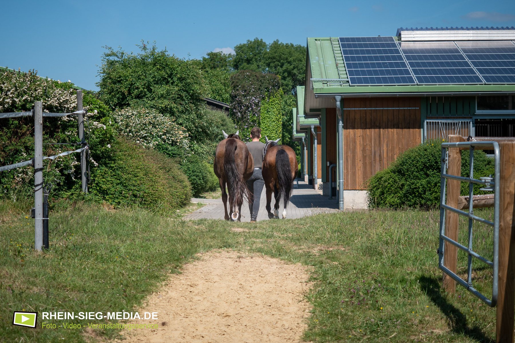 Businessfotografie Pferdehof und Reitanlage