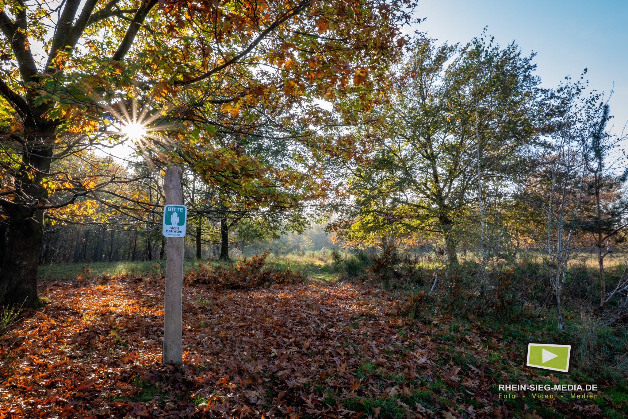 Naturpfad im Herbstwald – Wanderfotografie